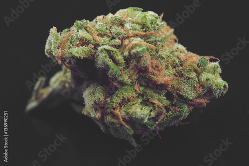 Plakat Zamyka up medyczni marihuana pączki