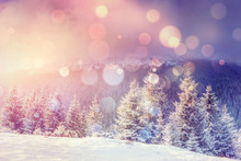 Magical Winter Landscape, Background With Some Soft Highlights A