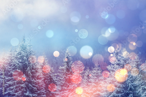 Foto-Lamellenvorhang - magical winter landscape, background with some soft highlights a (von standret)