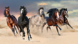 Fototapeta Konie - Horse herd run gallop on desert dust against beautiful sunset sky