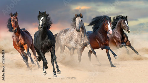 Plakat na zamówienie Horse herd run gallop on desert dust against beautiful sunset sky