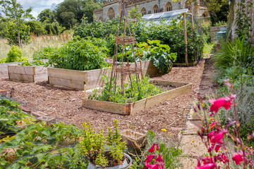 Rustic Raised Bed Vegetable & Flower Garden