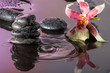 Wasserspiegelung von Orchideen mit schwarzen Steinen