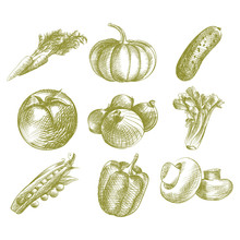 Set Of Hand Drawn Vegetables Isolated On White Background. Carrot, Onion, Pumpkin, Cucumber, Tomato, Pea Sketch Elements Vector Illustration. Great For Menu, Poster, Banner.