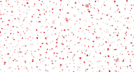 Wall Mural - Valentines Day background of red hearts petals falling on white background