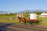 Fototapeta Nowy Jork - An Amish Horse and Carriage Travels on a Rural Road
