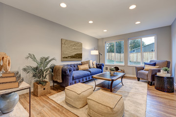 Cozy light filled living space accented with warm blue walls