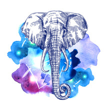 Illustration Portrait Of Elephant