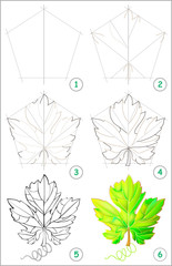 Wall Mural - Page shows how to learn step by step to draw a grape leaf. Developing children skills for drawing and coloring. Vector image.