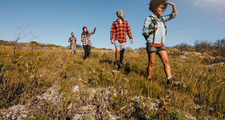 Wall Mural - young friends hiking in countryside