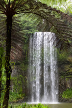 Milla Milla Falls, Atherton Tableland, Queensland, Australia