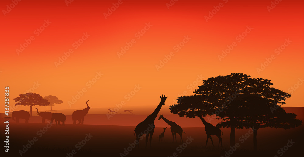 african wildlife editable vector illustration - savannah at sunset - obrazy, fototapety, plakaty 