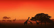 © Cattallina - african wildlife editable vector illustration - savannah at sunset