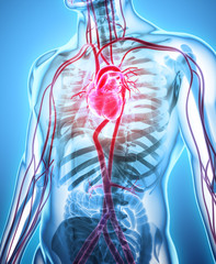 3D illustration of Heart, medical concept.