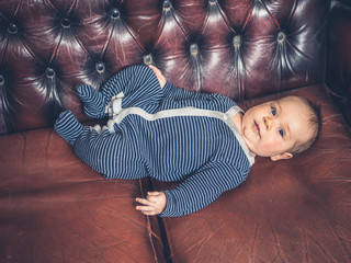 Wall Mural - Small baby lying on leather sofa