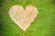 Heart shape on green grass background