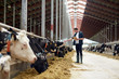 © Syda Productions - farmer with clipboard and cows in cowshed on farm