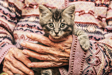 Loving old woman holding a kitten.