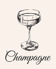 Champagne Glass Hand Drawing Vector Illustration . Alcoholic Drink.