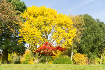 Autumn time in the countryside