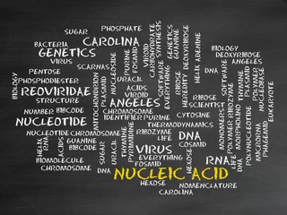 Wall Mural - Nucleic acid