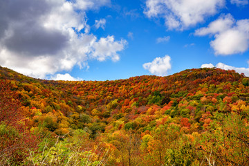 Wall Mural - Fall on the Cherohala Skyway