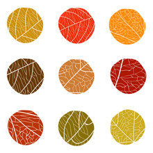 Autumnal Vector Pattern. Curve Circles With White Veins Inside. The Colors Of Autumn Leaves On A White Background: Red, Brown, Beige. The Concept For Logo.