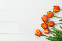 Orange Tulips And Blank Card
