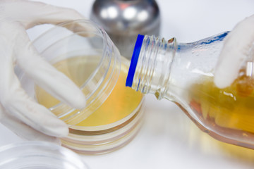 the pour plate method where in the sample is suspended in a petri dish