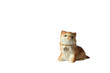 © Dvoeglazov - porcelain cat figurine white background