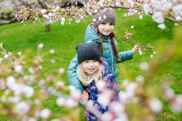 Wall Mural - Two cute little sisters having fun in blooming cherry garden