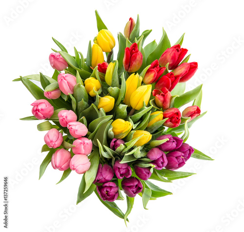 Obraz na PCV Tulip flower Bouquet isolated white background