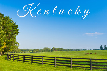 Wall Mural - Horses at horse farm. Kentucky landscape with text.