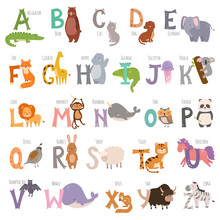 Cute Zoo Alphabet With Cartoon Animals Isolated On White Background And Grunge Letters Wildlife Learn Typography Cute Language Vector Illustration.