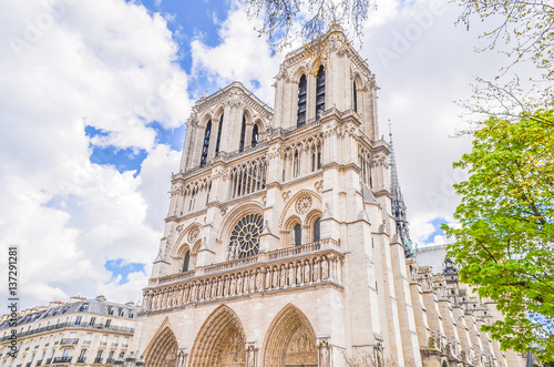 Plakat Katedra Notre Dame de Paris, Francja.