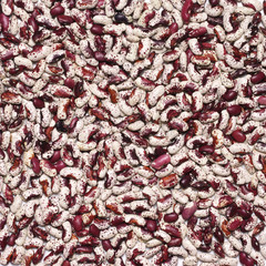 Wall Mural - Purple speckled kidney beans