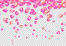 Vector Falling Rose Pink Petals. Floral Background