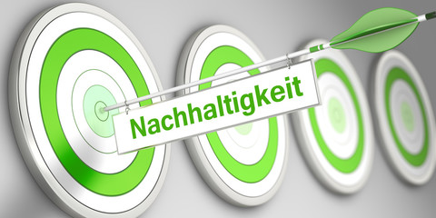 Nachhaltigkeit / Zielscheibe