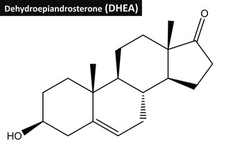 Wall Mural - Molecular structure of Dehydroepiandrosterone