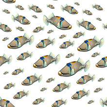Picasso Triggerfish Pattern