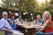 © Monkey Business - Portrait Of Mature Friends Enjoying Outdoor Meal In Backyard