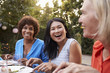 © Monkey Business - Mature Female Friends Enjoying Outdoor Meal In Backyard