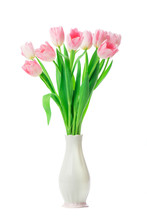 Beautiful Pink Tulips Flowers In Vase Isolated On White Background.