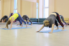 Moscow, Russia - February, 14, 2017: Female Group On Yoga Training In Moscow Fitness Center