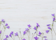 Bluebell Flowers Om White Wooden Background