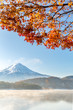 Mt. Fuji in autumn Japan