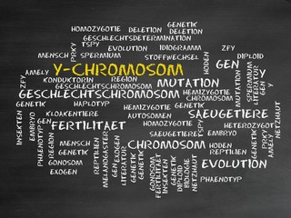 Wall Mural - Y-Chromosom