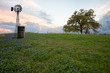 West Texas field o Bluebonnets in sunset with old windmill