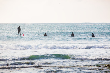 Wall Mural - surfers and waves in ocean. lifestyle