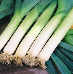 Fresh raw organic leek